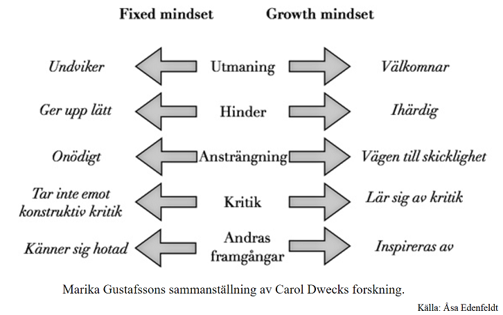 Fixed and Growth mindset